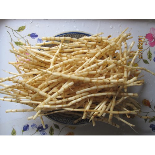 茅根